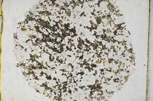 Plane Polarized, S32176