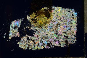 Cross Polarized, S32178
