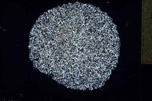 Cross Polarized, S32194