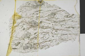 Plane Polarized, S32216