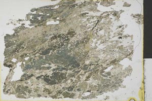 Plane Polarized, S32221