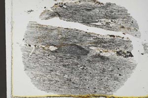 Plane Polarized, S32243