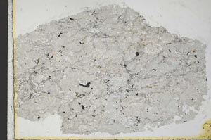 Plane Polarized, S32266