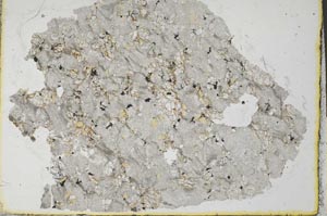 Plane Polarized, S32267