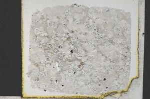 Plane Polarized, S32267/A