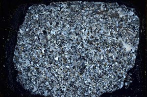 Cross Polarized, S32269