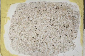 Plane Polarized, S32269