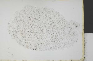 Plane Polarized, S32276