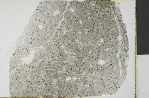 Plane Polarized, S32325