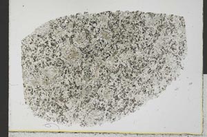 Plane Polarized, S32329