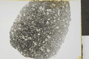 Plane Polarized, S32331