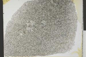 Plane Polarized, S32339