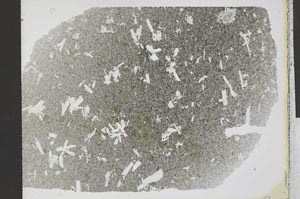 Plane Polarized, S32343