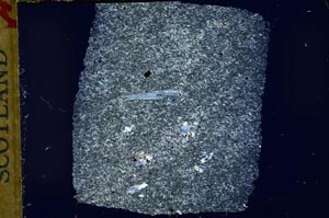 Cross Polarized, S32376