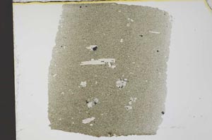 Plane Polarized, S32376