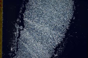 Cross Polarized, S32377