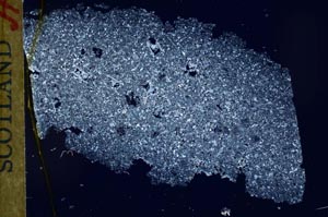 Cross Polarized, S32379