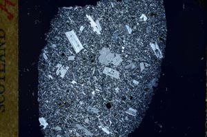 Cross Polarized, S32381