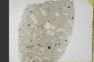 Plane Polarized, S32381