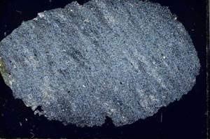 Cross Polarized, S32382