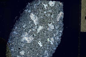 Cross Polarized, S32383