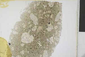 Plane Polarized, S32383