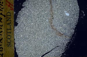 Cross Polarized, S32384