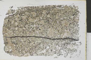 Plane Polarized, S32395