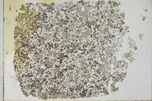 Plane Polarized, S32401