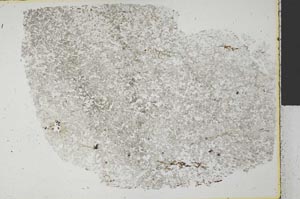 Plane Polarized, S32411