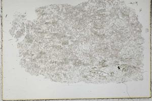 Plane Polarized, S32412