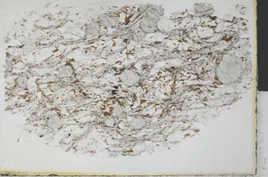 Plane Polarized, S32421