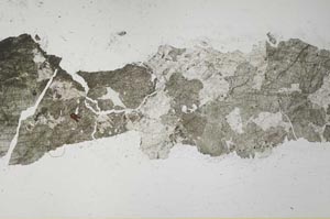 Plane Polarized, S32426