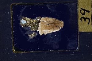 Cross Polarized, S32432