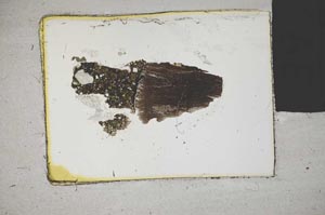 Plane Polarized, S32432