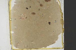 Plane Polarized, S32433