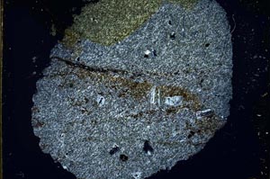 Cross Polarized, S32434