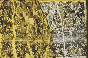 Plane Polarized, S32443