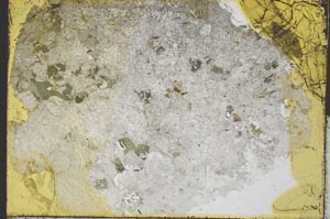Plane Polarized, S32451