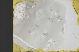 Plane Polarized, S32452