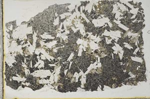 Plane Polarized, S32454