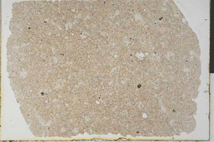 Plane Polarized, S32456