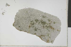 Plane Polarized, S32468