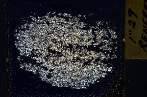 Cross Polarized, S32547