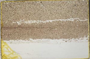 Plane Polarized, S32553