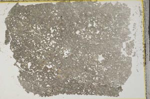 Plane Polarized, S32724
