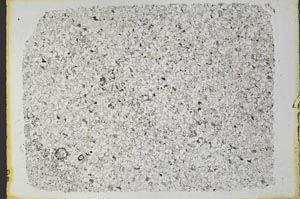 Plane Polarized, S32747