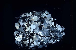 Cross Polarized, S32759