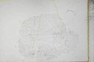 Plane Polarized, S32759