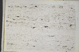 Plane Polarized, S32764